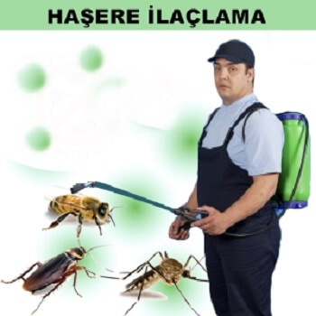 Ataşehir Böcek İlaçlama